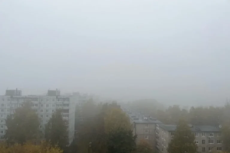Это аномалия. Синоптик Шувалов: Москву окутал необычный адвективный туман