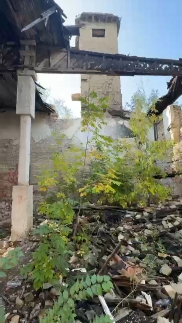 «Села в машину». В деле девочки из подвала в Волгограде не все чисто
«Села в машину». В деле девочки из подвала в Волгограде не все чисто